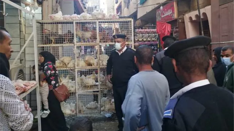 تحرير ١٠٩ محضر إشغال طريق ومخالفات متنوعة فى الأقصر.. بالصور