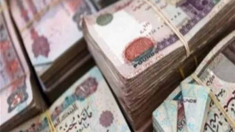 ضبط مسئولين استولوا على 116.5 مليون جنيه من أصول متحفظ عليها
