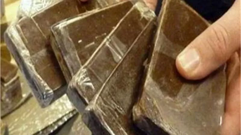 ضبط تشكيل عصابي تخصص في ترويج الشابو والحشيش بنجع حمادي