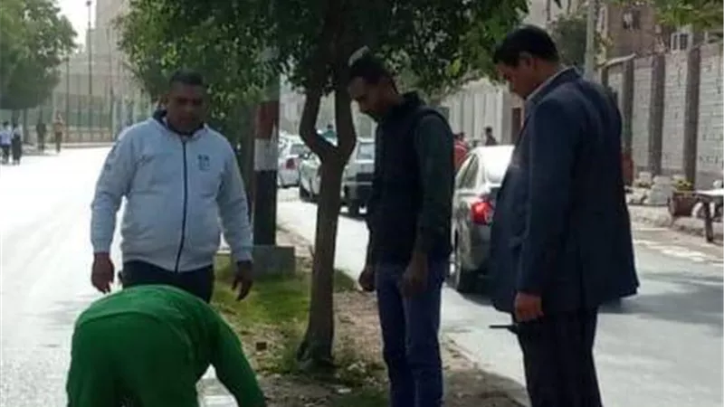 حملات مكثفة للتجميل والنظافة والتطهير بمدينة المنيا