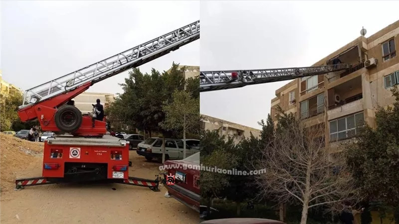 انسانية الحماية المدنية بالعاشر من رمضان.. سرعة الاستجابة لأنقاذ هرة