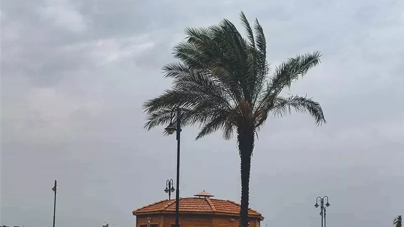عاصفة ترابية وبرودة في الإسماعيلية