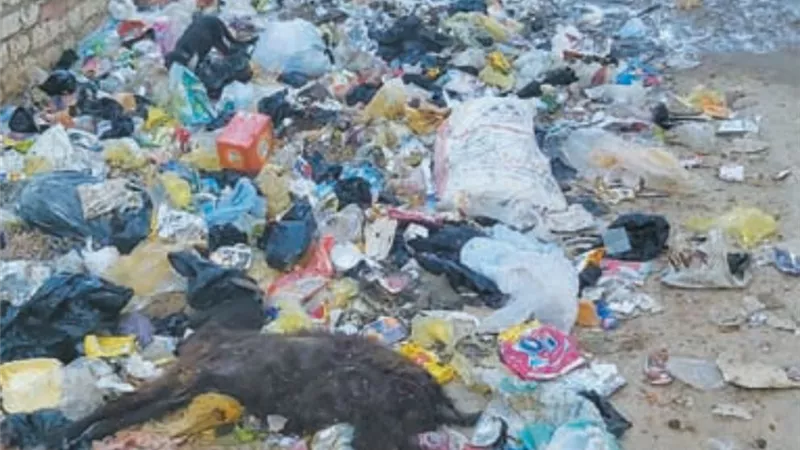 أسوان تعاني من إهمال المسئولين.. والسلوكيات الخاطئة للمواطنين