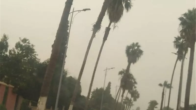 الجو ضباب والاسماعيلاوية اختفوا من الشوارع
