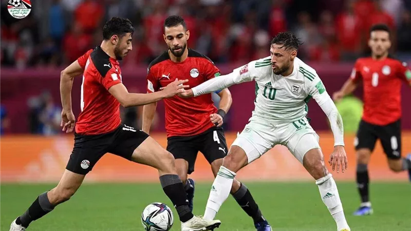 تعرف على حقيقة شكوى الإتحاد الجزائرى ضد منتخب مصر