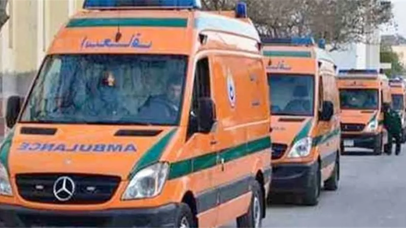 اصابة ٩ اشخاص فى حادث انقلاب سياره بقنا