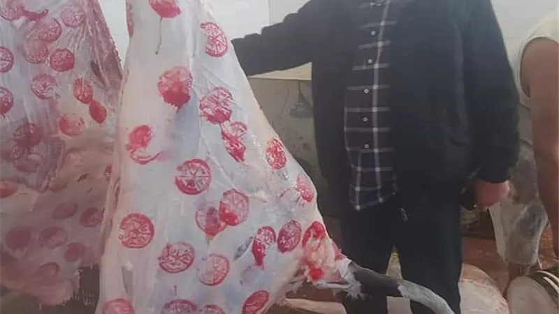 مدير عام الطب البيطرى بالبحرالأحمر يتفقد مجزر اللحوم والدواجن بسفاجا