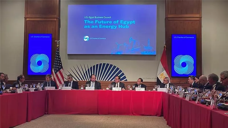 الملا يبحث مع نواب الكونجرس التنسيق المصري الأمريكى في منتدى غاز شرق المتوسط ومؤتمر المناخ