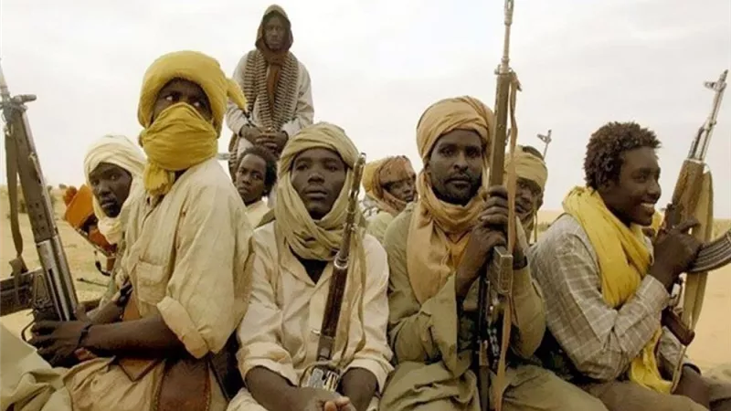 عضو بمجلس السيادة السودانى يؤكد الحرص على فرض القانون فى دارفور