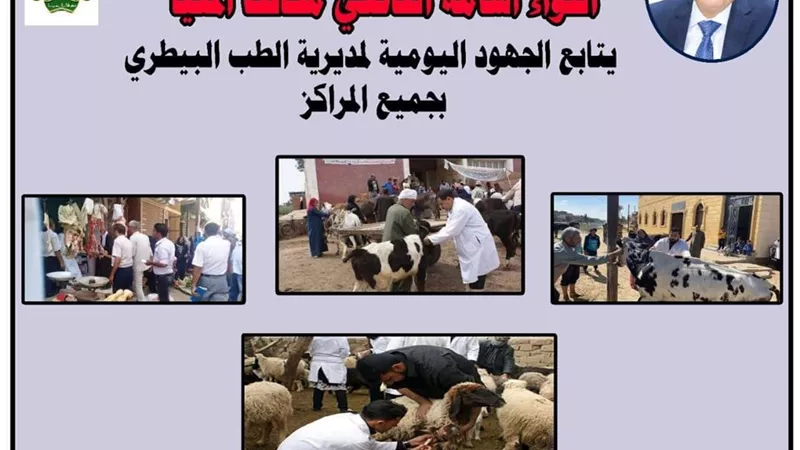بيطري المنيا يحرر 17 محضرا خلال حملات رقابية على الأسواق