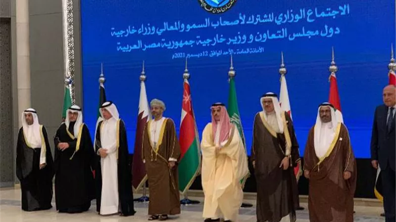 «ليبيا وسوريا واليمن والسودان وسد النهضة».. وزير الخارجية يشرح تفاصيل وآلية التعاون مع مجلس التعاون الخليجي .. فيديو
