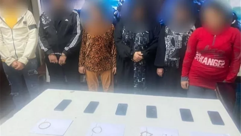 ارتكبوا 12 واقعة.. الداخلية تضبط 