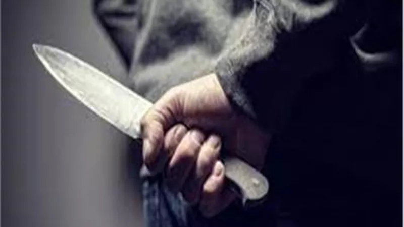 الأمن يكشف تفاصيل مقتل بائع جرجير.. المجرم طعنه في صدره واستولى على 300 جنيه