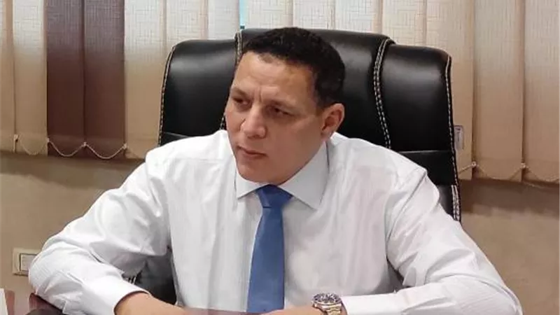 نائب: الأسعار ثابته في الأسواق المصرية ولا يوجد انفلات في السلع الحيوية