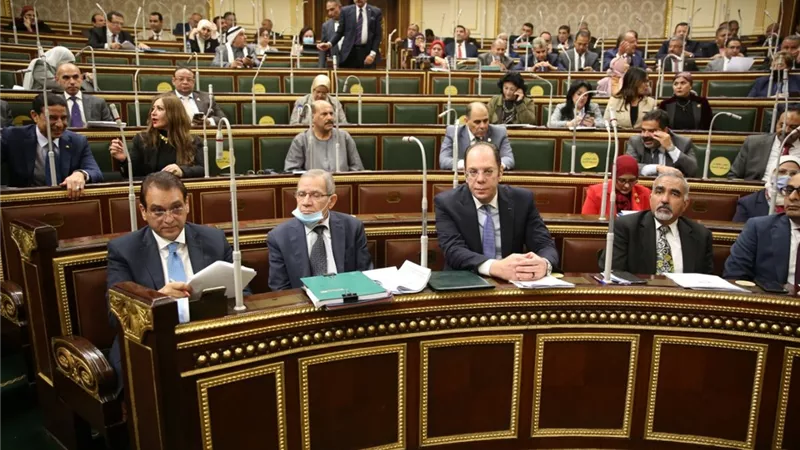 بيان من النواب حول تسمم ٦٠ طالبا بقرية وردان الجيزة