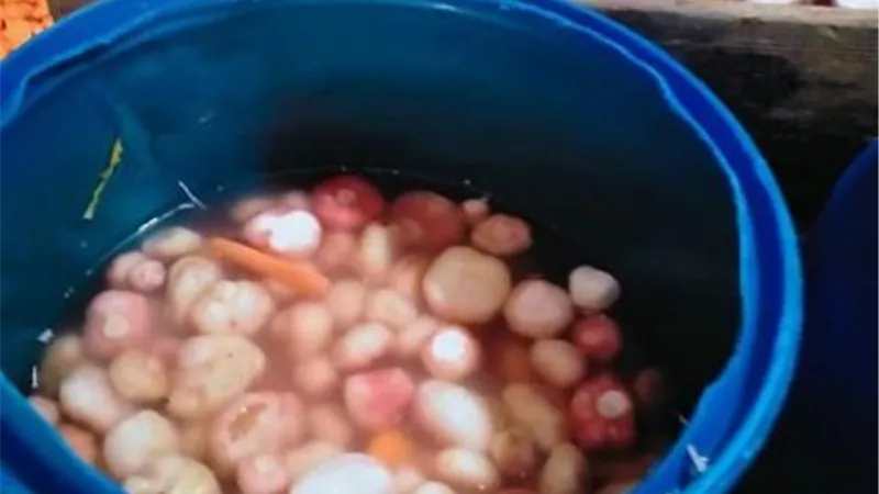 ضبط 5 طن مخللات غير صالحة للإستهلاك في التل الكبير بالإسماعيلية ..صور