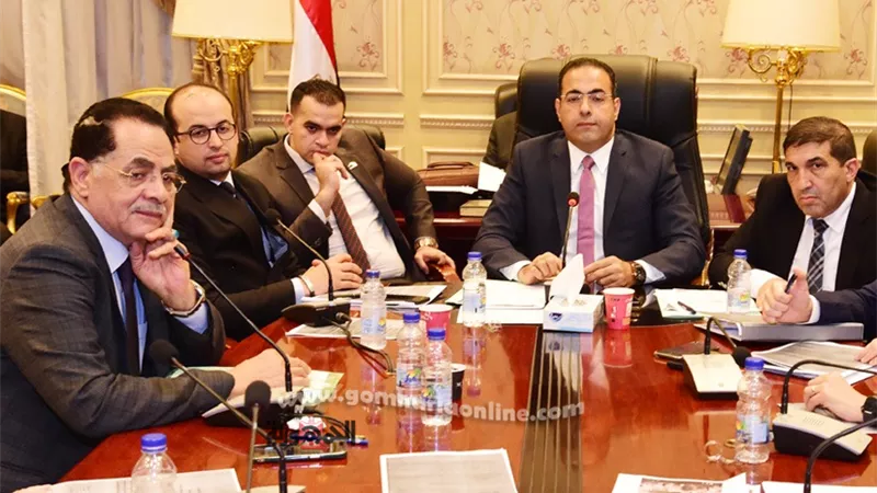وزارة الشباب تسند أعمال تطوير ملعب غير موجود.. ورئيس رياضة البرلمان: فضيحة تستوجب التحقيق