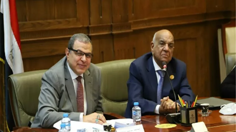 سعفان: قانون العمل الجديد يضع الدولة المصرية في مكانتها اللائقة بين دول العالم
