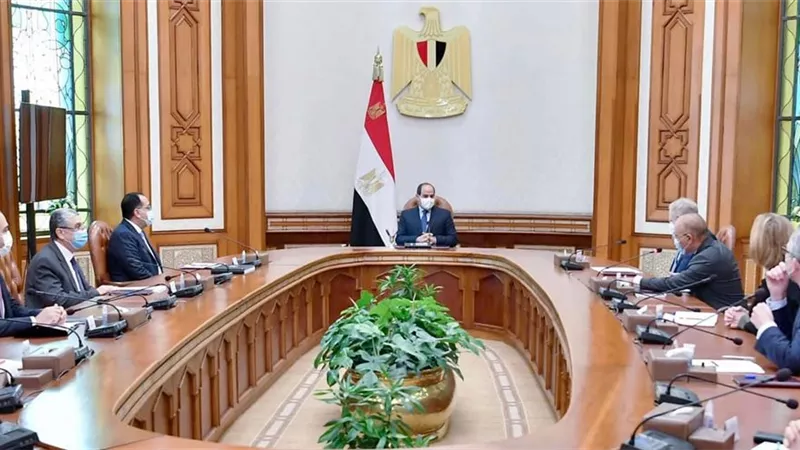الرئيس السيسي يناقش مع رئيس شركة 