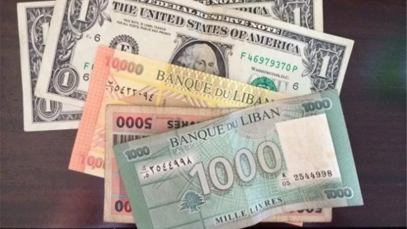 الليرة اللبنانية تواصل انهيارها امام الدولار الأمريكى