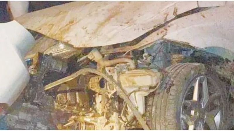 سر الكاميرا الخفية .. في حبس المحامين عن نجل رجل الأعمال كريم الهواري
