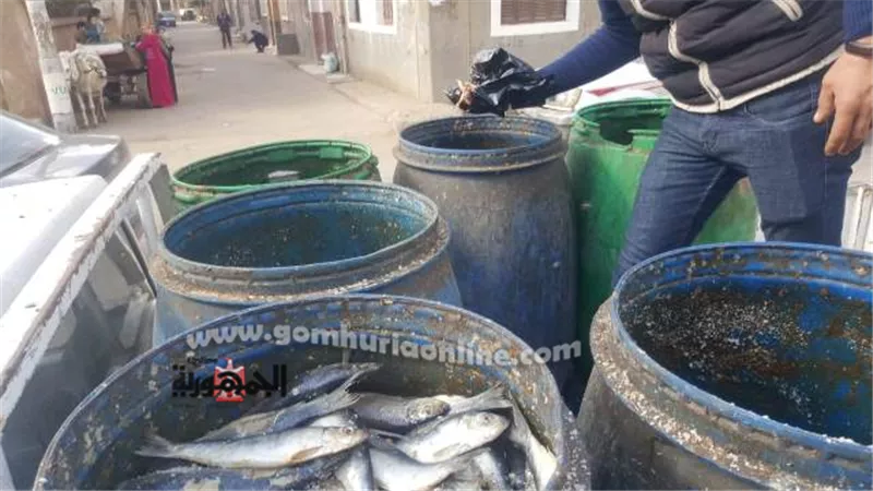 ضبط 1280 ك أسماك ولحوم غير صالحة للإستهلاك الآدمي بالمنوفية .. صور