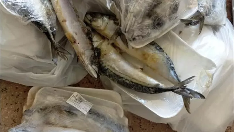 ضبط ٨٢ كيلو أسماك ودواجن مجهولة المصدر فى حملة تموينية بالأقصر..صور