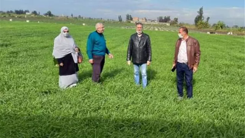 محافظ كفر الشيخ يتابع المرور على الحقول الإرشادية لمحصول القمح.. بالصور