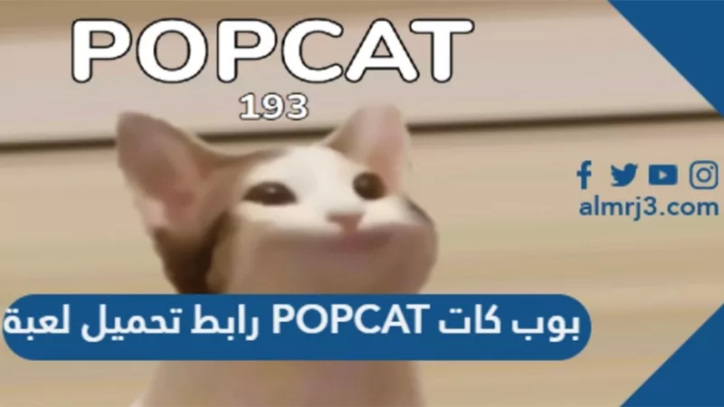 الألعاب القتالية الأكثر بحثا على جوجل فى ٢٠٢١