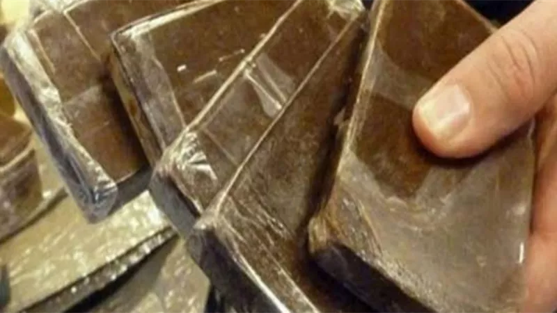ضبط ربه منزل وعاطل باقراص مخدرة وحشيش بالشلاتين