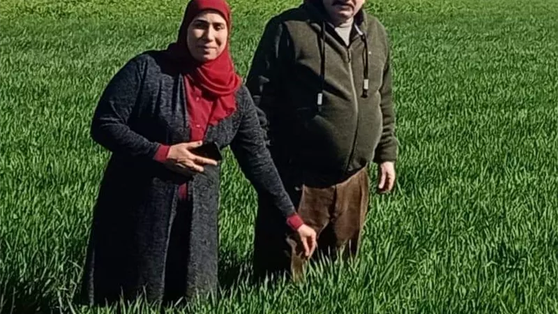 جولات وندوات للارشاد الزراعى للنهوض بالمحاصيل ببنى سويف