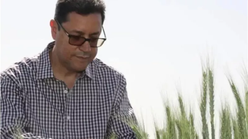 مدير عام إيكاردا : نتعاون مع مصر لتحسين محصول العدس والحمص
