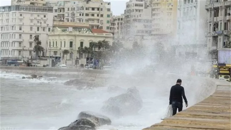 تعطيل الدراسة غداً بكليات جامعة الإسكندرية واستمرارها «أون لاين»