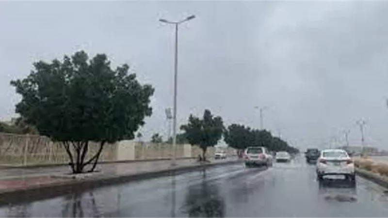 تعطيل الدراسة بمدارس ومعاهد البحيرة غدا .. الدراسة اونلاين بكليات جامعة دمنهور