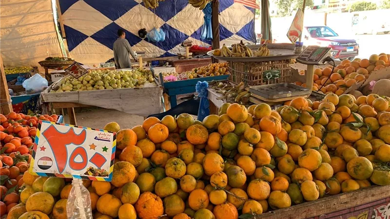 انخفاض البطاطس ..أسعار الخضر والفاكهة في أسواق الإسماعيلية ..صور