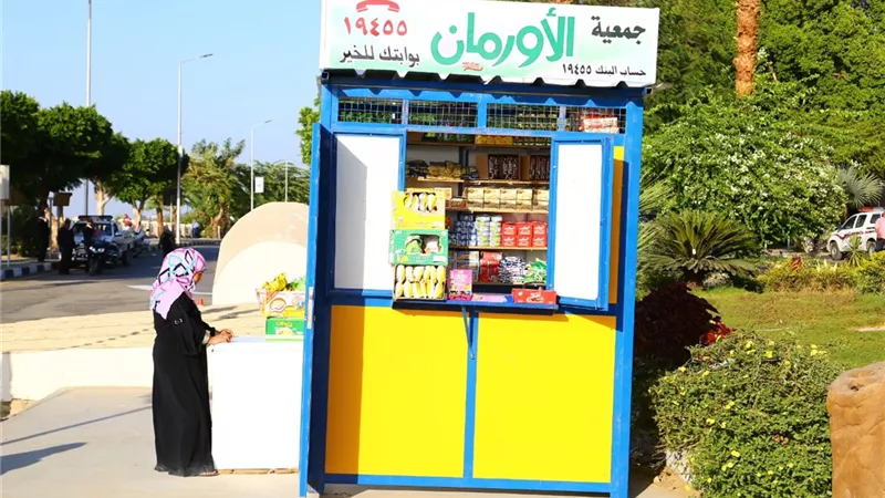 72 كشكا للأرامل والمطلقات وأصحاب الهمم باسوان تحت رعاية مديرية التضامن الاجتماعى