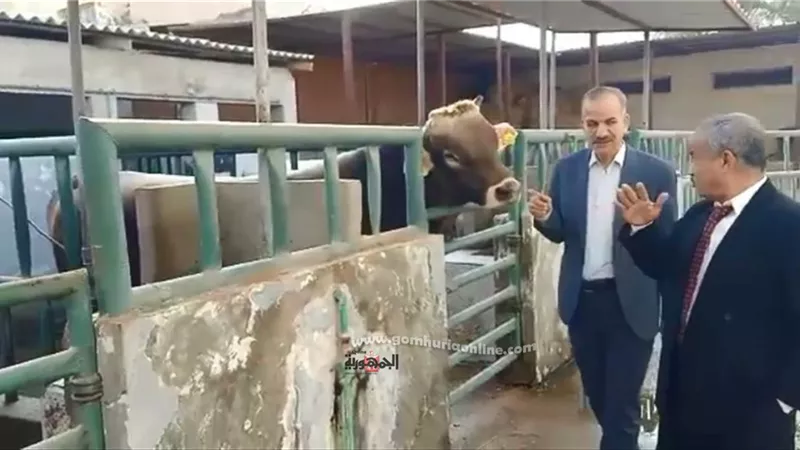 محافظ أسيوط: استمرار العمل في مشروع التحسين الوراثي لسلالات الماشية للنهوض بالثروة الحيوانية