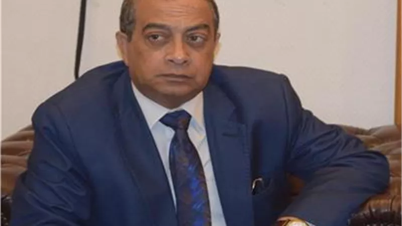 شعبة الجمارك: زيادة المعامل بالموانئ المصرية تخفض التكلفة.. وتنعكس إيجابا على الأسعار