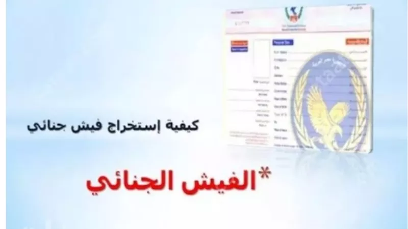 استخرج فيش جنائي من المنزل الكترونيا