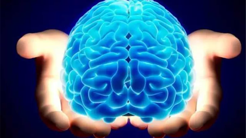 توابل ذات قيمة تحمى من الزهايمر