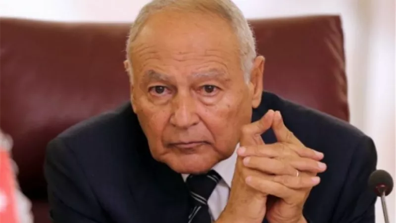 أبو الغيط: الانقسامات والتدخلات الخارجية تعرقل الحل في ليبيا