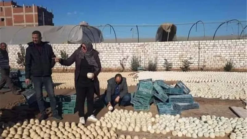 النيابة تأمر بحبس المتهمين بإدارة مصنع الجبن 