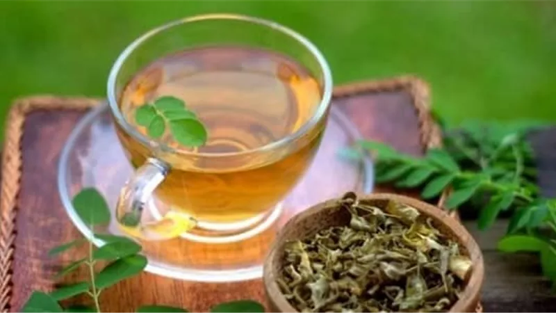 للتخسيس.. تعرف على فوائد المورينجا