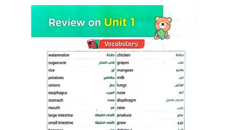 ملخص كلمات وبرجراف كونكت للصف الرابع الابتدائى
