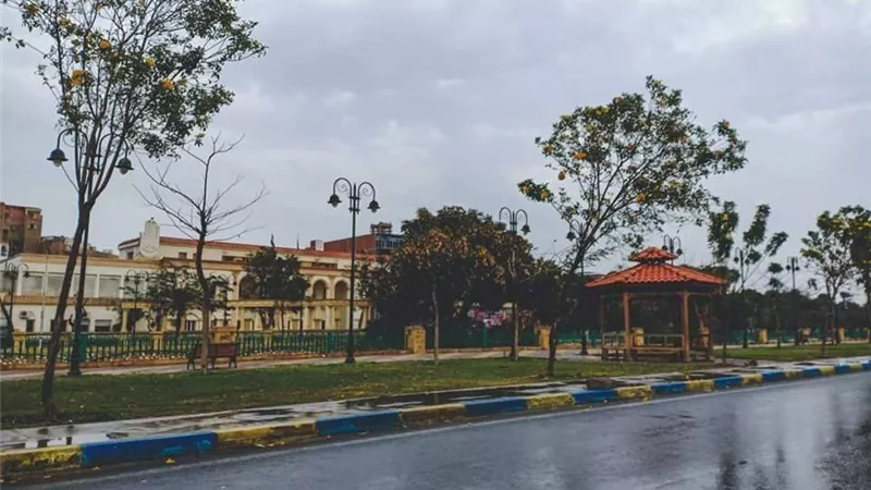 برودة شديدة وأمطار غزيرة بالإسماعيلية ..صور