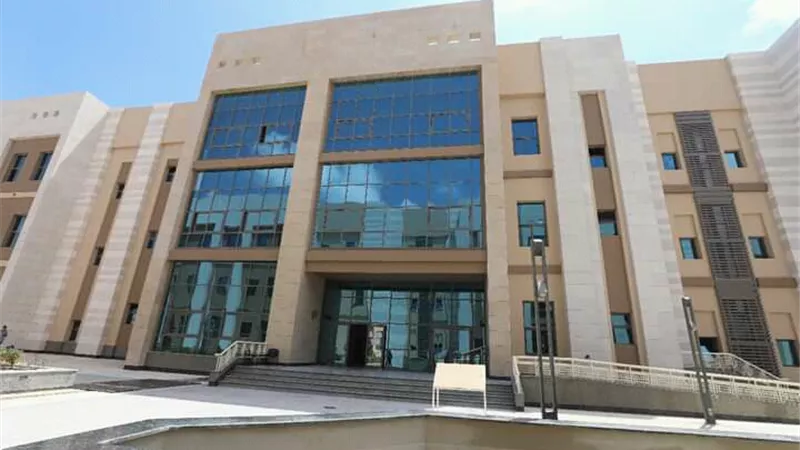 تقديم 19 برنامجًا دراسيًا..حصاد أداء جامعة العلمين الدولية خلال 2021