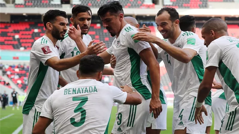 حقيقة مفاوضات الزمالك مع نجم منتخب الجزائر