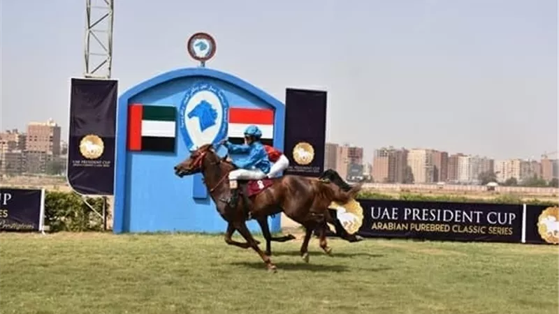انطلاق مهرجان الشيخ خليفة بن زايد للخيول العربية بالجزيرة ..غدا