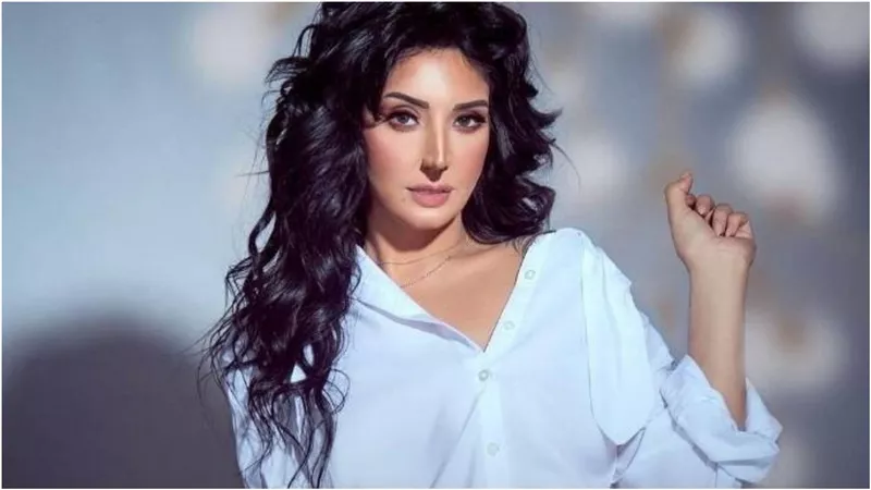 دينا حسين عن فيديو الإساءة للفنانات: 