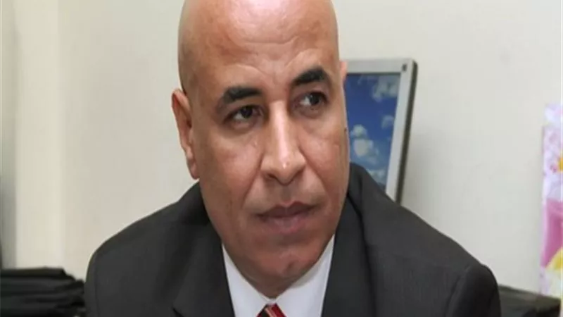 نائب رئيس اتحاد عام المصريين بالسعودية: الجاليات المصرية بالخارج فخورة بمشروعات تنمية الصعيد